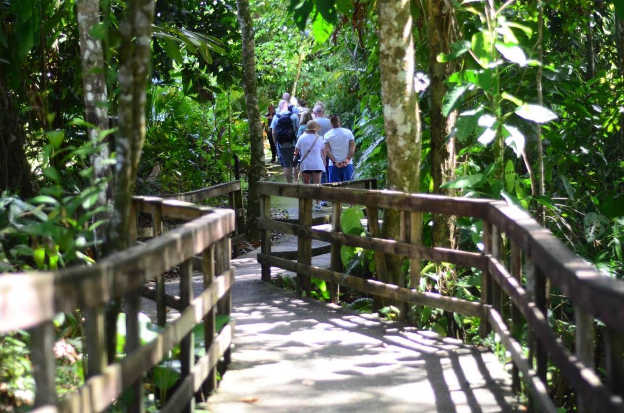 Veragua Rainforest Puerto Limon Exteriör bild